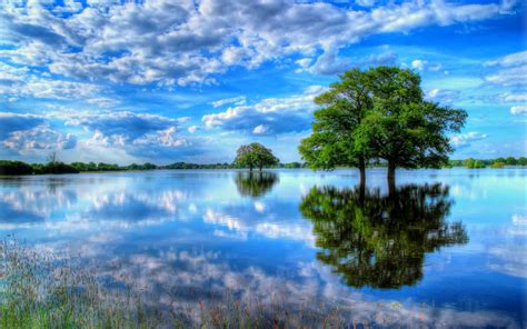 Tree by water - Monthly Individual Spiritual Direction Session - 50-55 minutes to process the Original Material and how God is working in your life. Monthly Cost: $125 per month for 8 months. Optional Retreat for an Additional cost (This will depend on COVID health guidelines) Price and Dates- TBD.